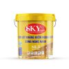 Sơn Lót Kháng Kiềm Ngoại Thất Công Nghệ Nano Sky Happy S8.5